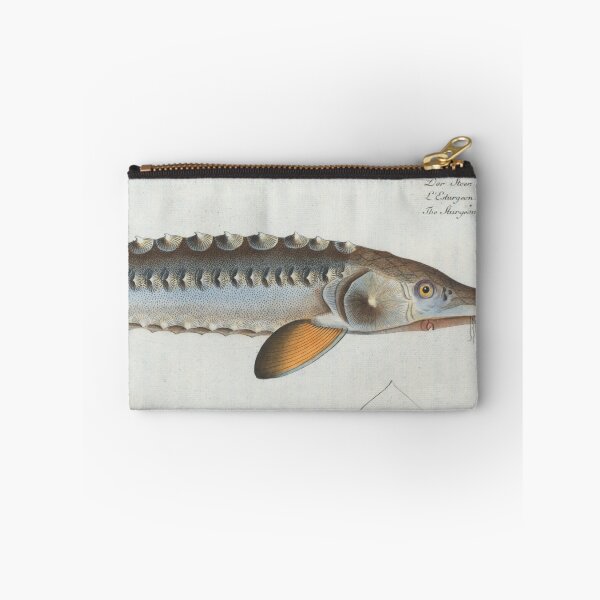 Item preview, Vintage Illustration of a Sturgeon (1785) designed and sold by BravuraMedia.