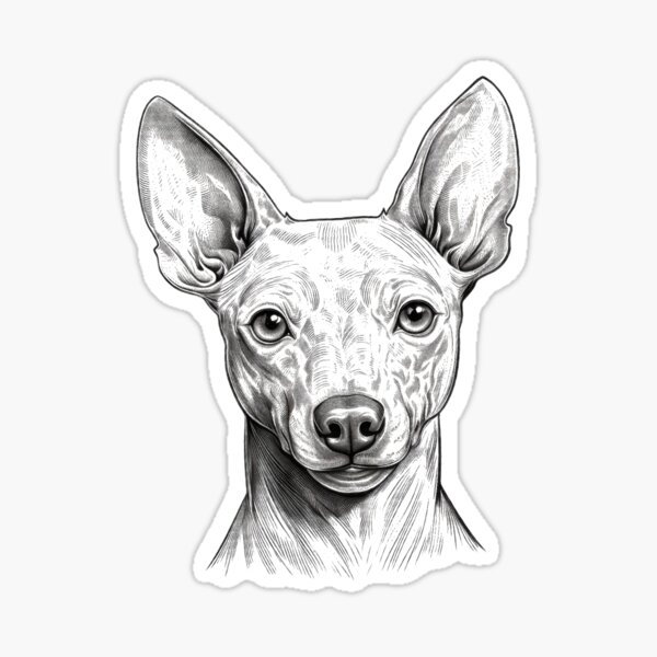 Item preview, Xoloitzcuintle, perro sin pelo mexicano, retrato de perro cabeza de perro designed and sold by WallyPink.