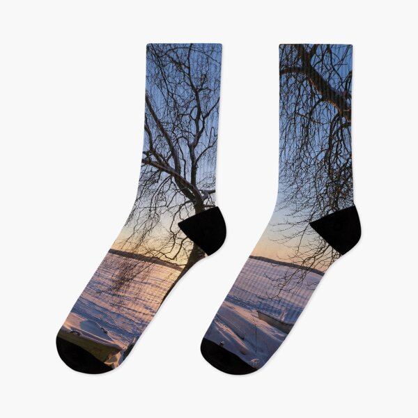 Item preview, Birches and boats. Last morning of 2023  number 18 designed and sold by Jouko Lehto Photography.
