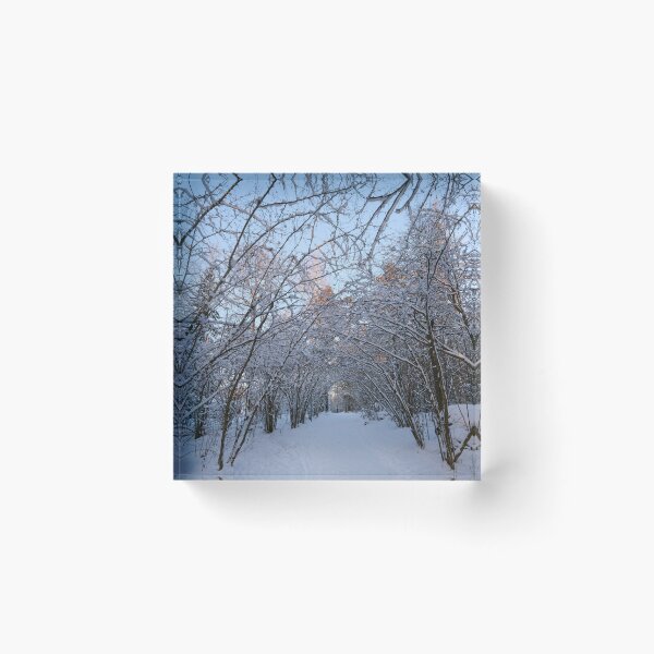Item preview, Arch. Last morning of 2023  number 22 designed and sold by Jouko Lehto Photography.