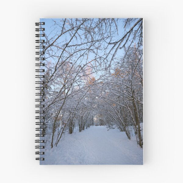 Item preview, Arch. Last morning of 2023  number 22 designed and sold by Jouko Lehto Photography.