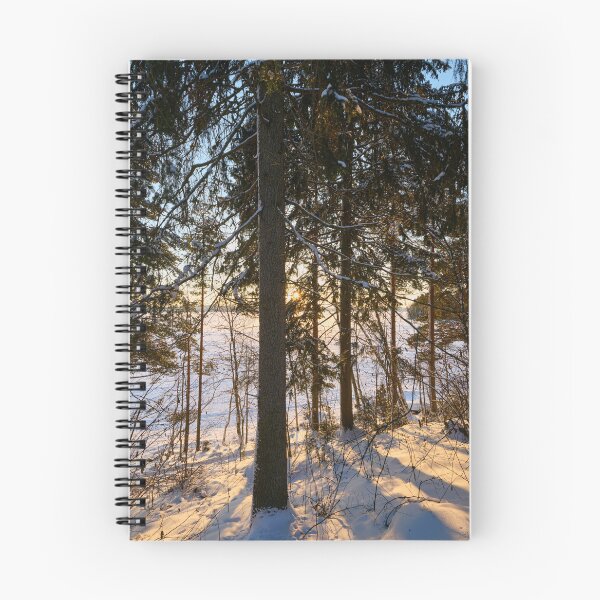 Item preview, Spruce and the sun. Last morning of 2023  number 23 designed and sold by Jouko Lehto Photography.