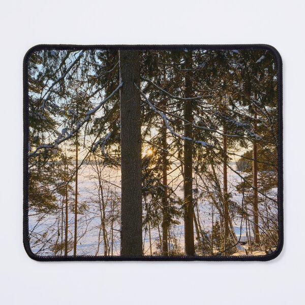 Item preview, Spruce and the sun. Last morning of 2023  number 23 designed and sold by Jouko Lehto Photography.