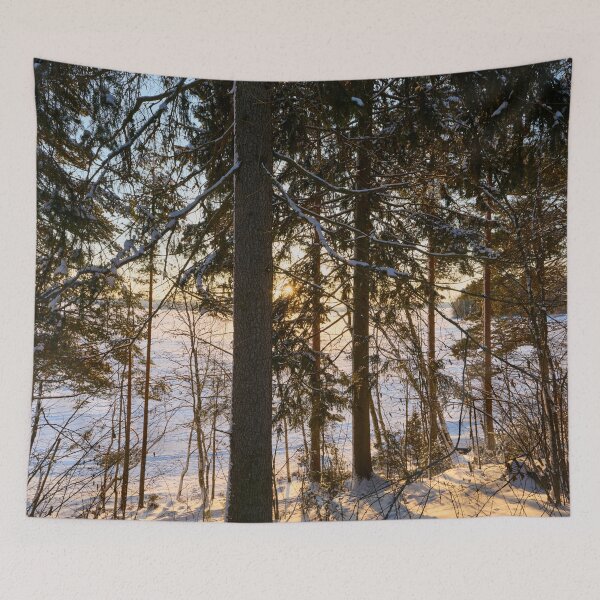 Item preview, Spruce and the sun. Last morning of 2023  number 23 designed and sold by Jouko Lehto Photography.