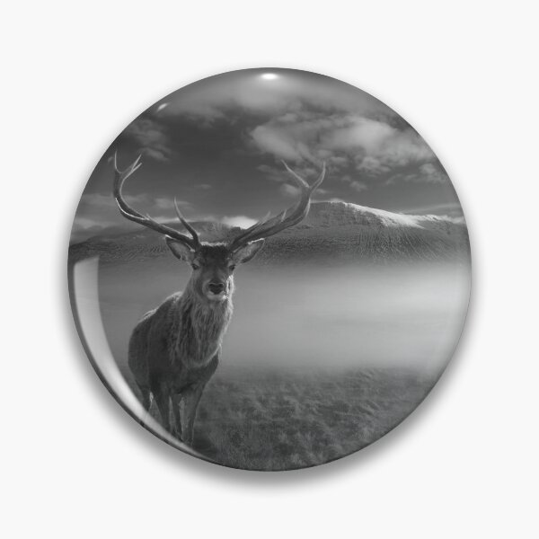 Item preview, Inquisitive Highland Stag designed and sold by Alisonchambers2.