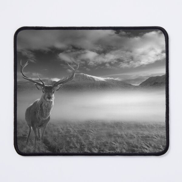 Item preview, Inquisitive Highland Stag designed and sold by Alisonchambers2.
