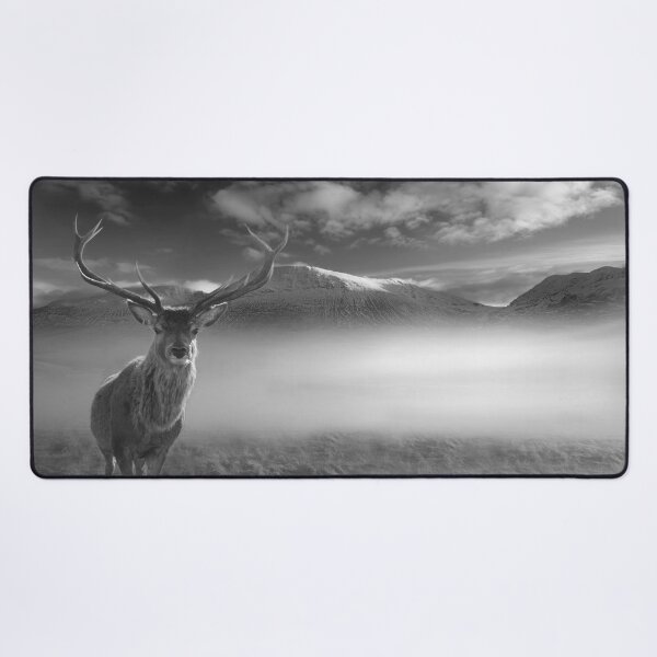 Item preview, Inquisitive Highland Stag designed and sold by Alisonchambers2.