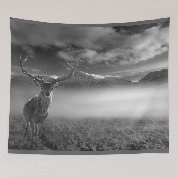 Item preview, Inquisitive Highland Stag designed and sold by Alisonchambers2.