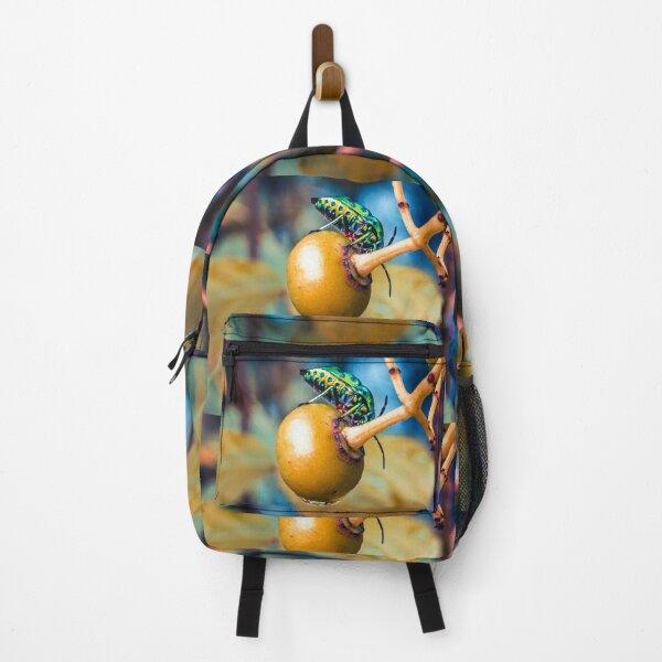 Item preview, insect on a forest fruit, Scutelleridae, Jewel bug (Chrysocoris stollii) Beetle, Shield bug. designed and sold by MiMee4451.