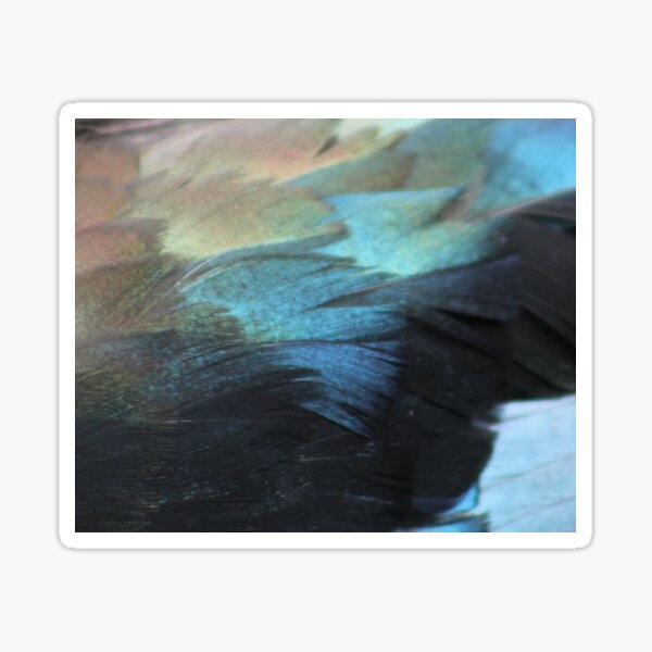 Teal duck feathers Sticker