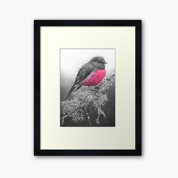 Aperçu de l'œuvre Rouge-gorge rose créée et vendue par Fiona Francois.