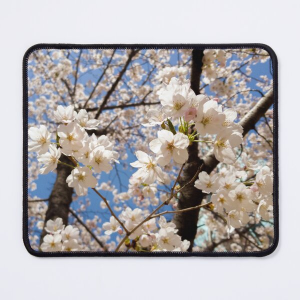 Item preview, cherry blossom tree designed and sold by yunee.