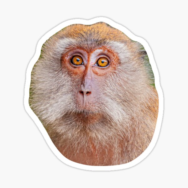 Item preview, Monkey face designed and sold by OwlOccasions.