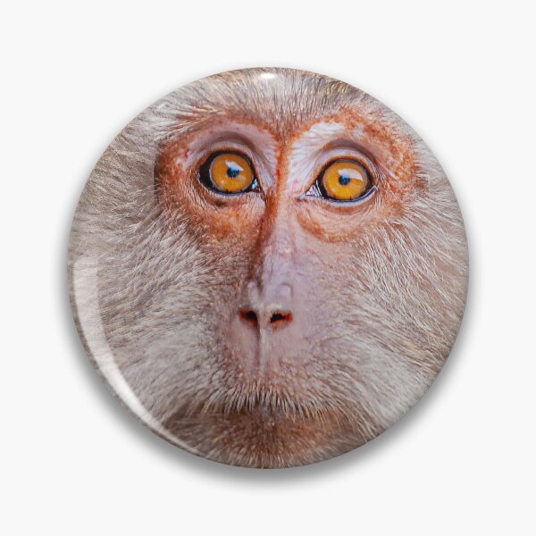Item preview, Monkey face designed and sold by Dalyndigital Photography.