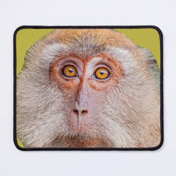 Item preview, Monkey face designed and sold by Dalyndigital Photography.