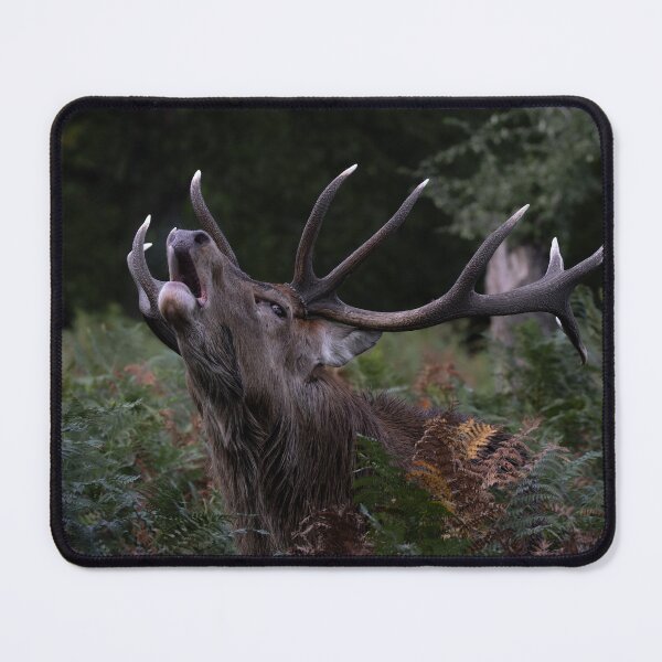 Item preview, Stag designed and sold by photobytableau.