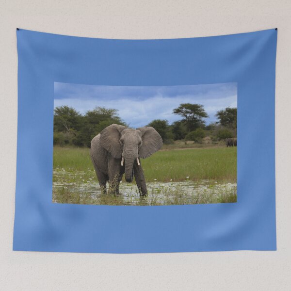 Item preview, Water is Life designed and sold by TwigaTravel.