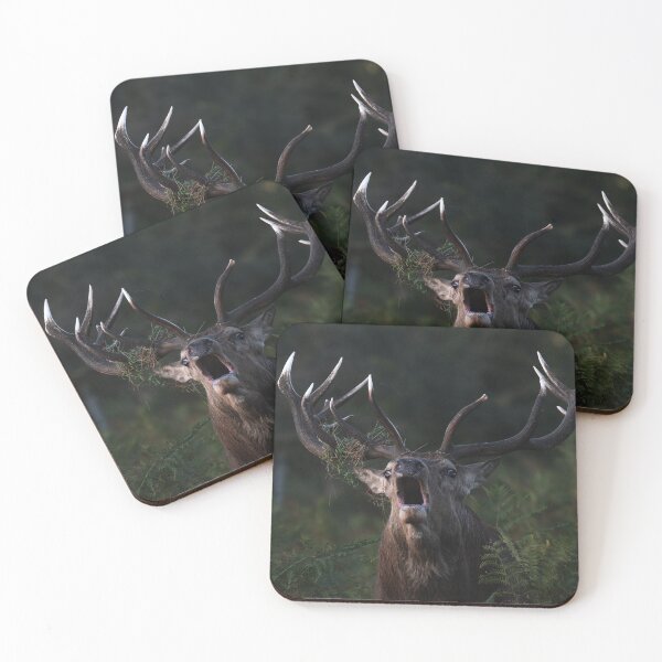 Item preview, Stag designed and sold by photobytableau.