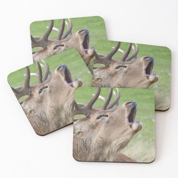 Item preview, Stag designed and sold by photobytableau.