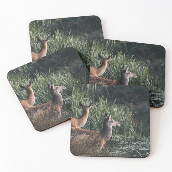 Item preview, Deer designed and sold by photobytableau.