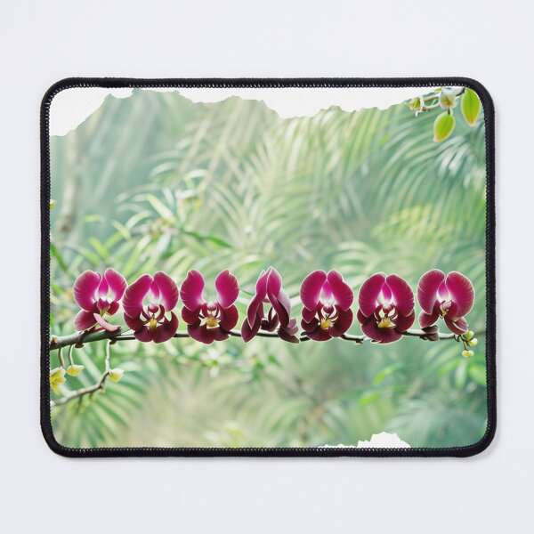 Item preview, ECUADOR 24 21 designed and sold by maveluzone.