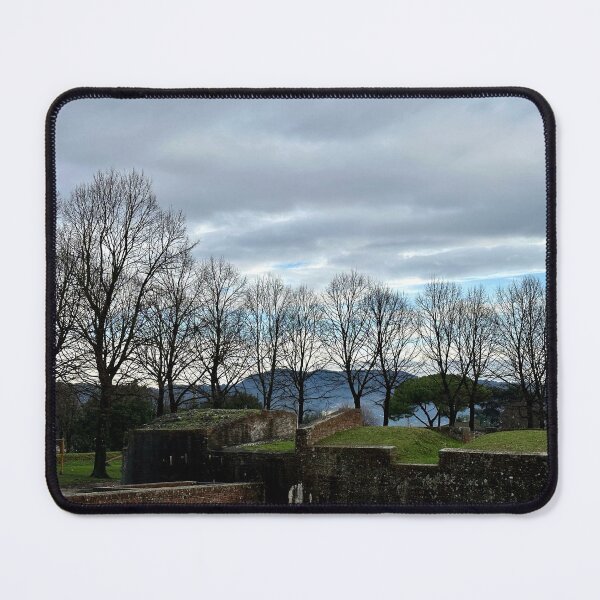 Item preview, Trees and sky designed and sold by BreeFarinaPhoto.