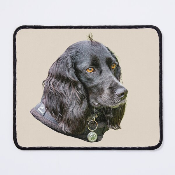 Item preview, Black cocker Spaniel designed and sold by Dalyndigital Photography.