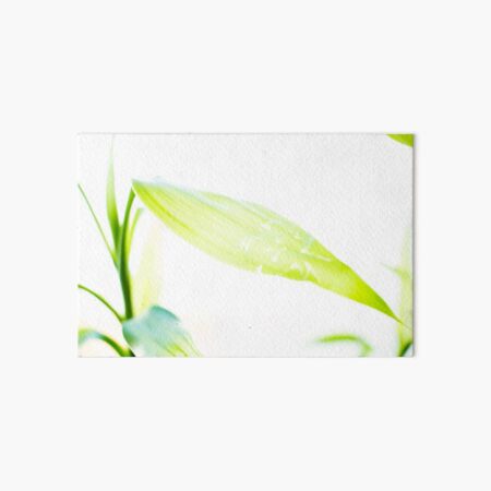 Green Bamboo Leaf Art Board Print