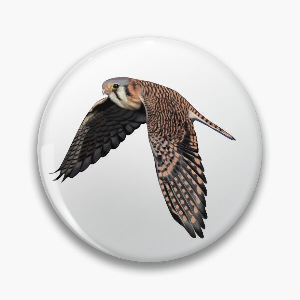 Item preview, American Kestrel designed and sold by Wondersofwhimsy.