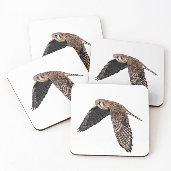 Item preview, American Kestrel designed and sold by Wondersofwhimsy.