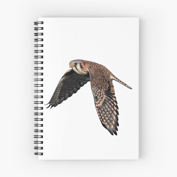 Item preview, American Kestrel designed and sold by Wondersofwhimsy.