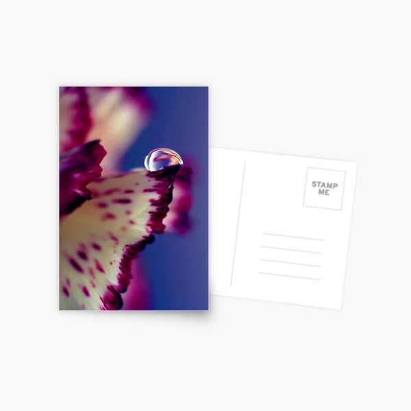 Item preview, Colour Of Life XXXII [iPad case / Phone case / Laptop Sleeve / Print / Clothing / Decor] designed and sold by Didi Bingham.