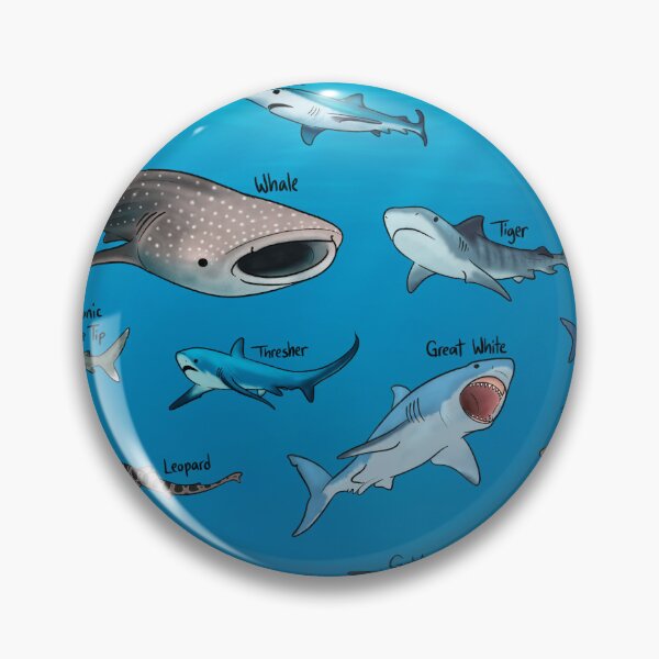 Item preview, Shark Species designed and sold by jastinamor.