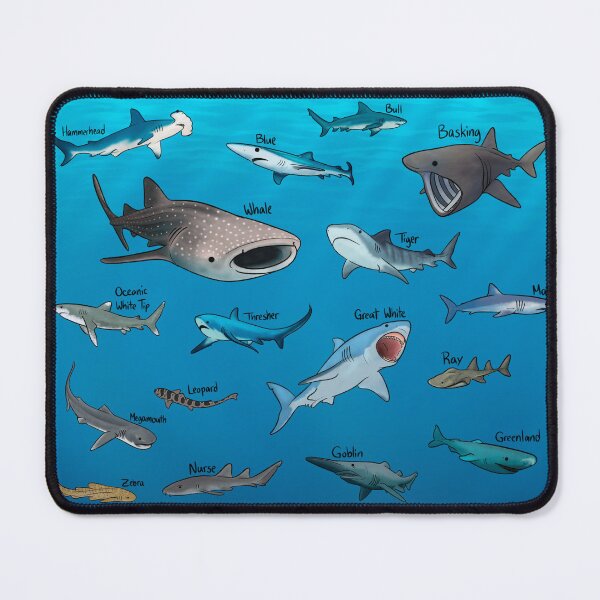 Item preview, Shark Species designed and sold by jastinamor.