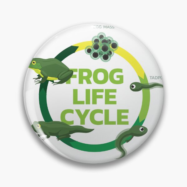 Item preview, Frog Cartoon Life Cycle Tadpole designed and sold by SUPERHERON.