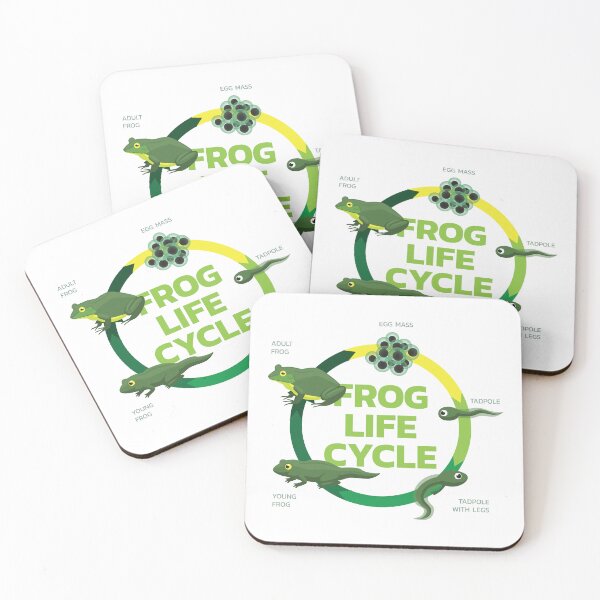 Item preview, Frog Cartoon Life Cycle Tadpole designed and sold by SUPERHERON.