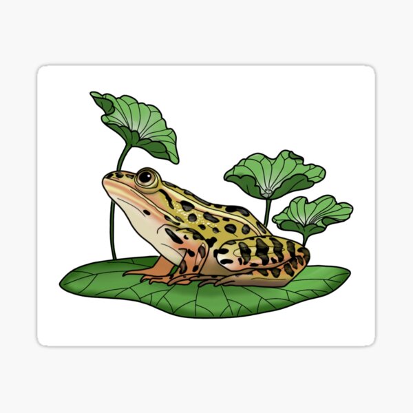 Item preview, Frog on lily pad designed and sold by beccamanse.