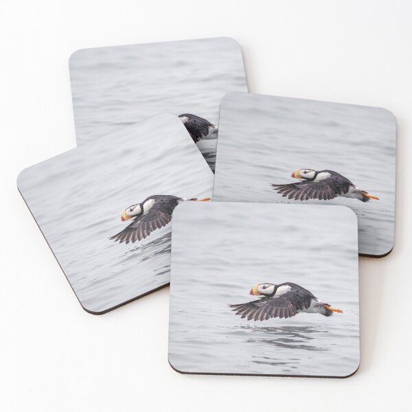 Item preview, Horned Puffin Takes Off For Flight Alaska designed and sold by PhotoArt by Joan Carroll.