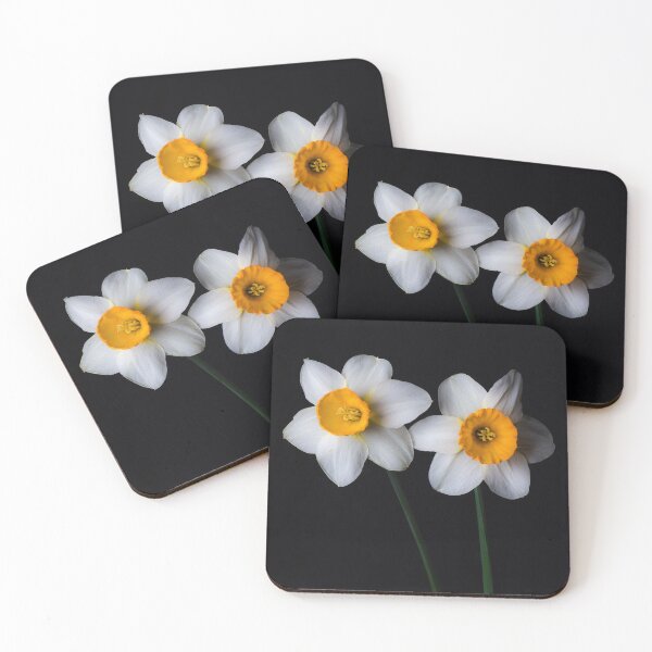 Item preview, White and yellow Daffodils 23 designed and sold by PHILIP CHALK.