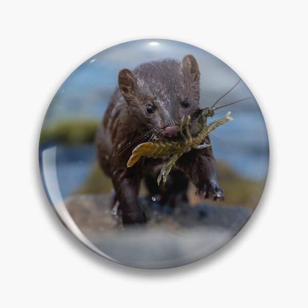 Item preview, Success! designed and sold by Greg Birkett.
