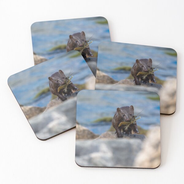 Item preview, Success! designed and sold by Greg Birkett.