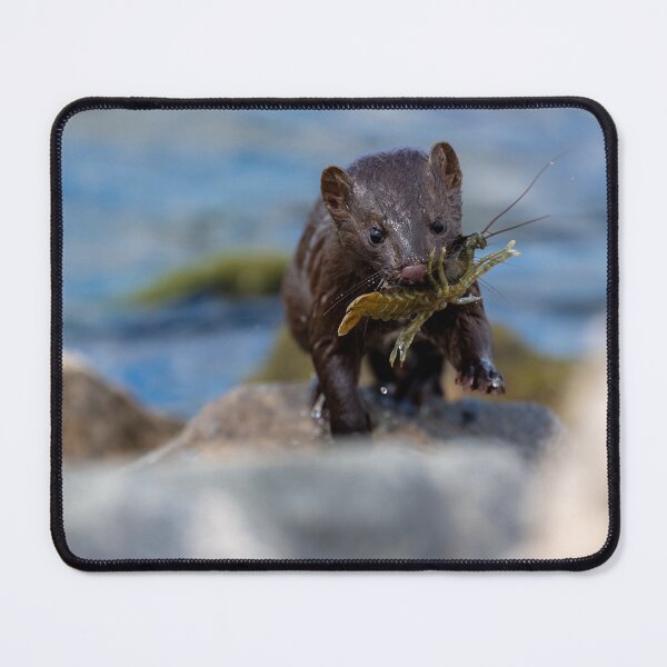 Item preview, Success! designed and sold by Greg Birkett.