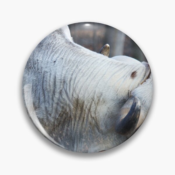 Item preview, Brahma Bull Resting designed and sold by Cynthia48.