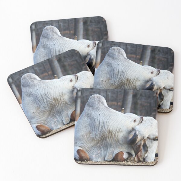 Item preview, Brahma Bull Resting designed and sold by Cynthia48.