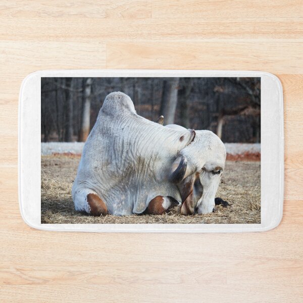 Item preview, Brahma Bull Resting designed and sold by Cynthia48.
