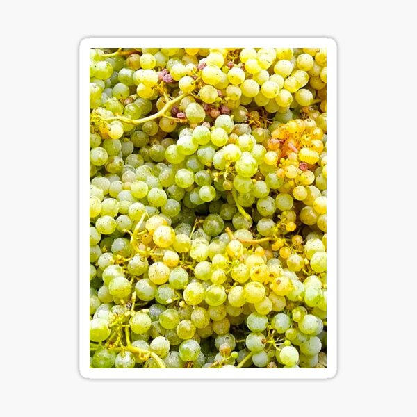 Item preview, Grape Harvest designed and sold by CasaDaCasimira.