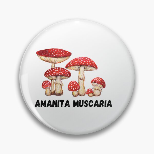 Item preview, Sala de hongos designed and sold by Roy & Tiffany.