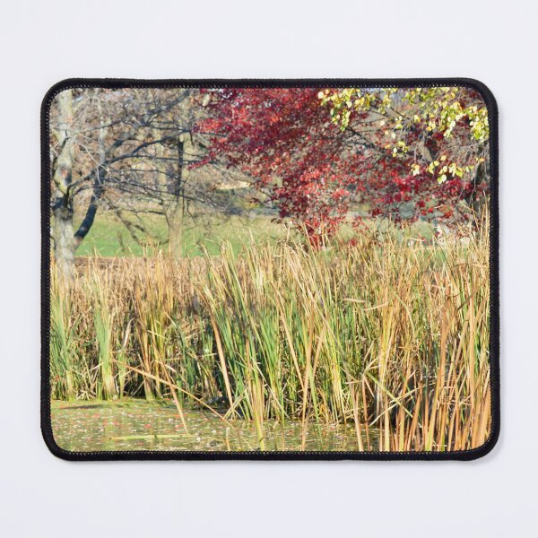 Item preview, Autumn Pond designed and sold by lisapicklepizza.