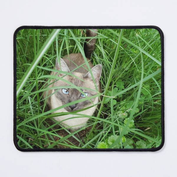 Item preview, The Bluest Eyes designed and sold by Stardragon135.