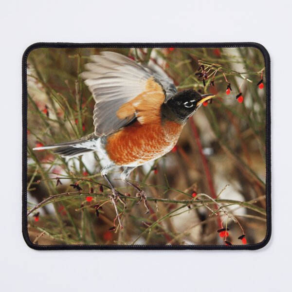 Item preview, A Robin Feast designed and sold by Debbie Oppermann.